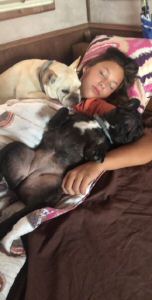 past puppies (5).jpg